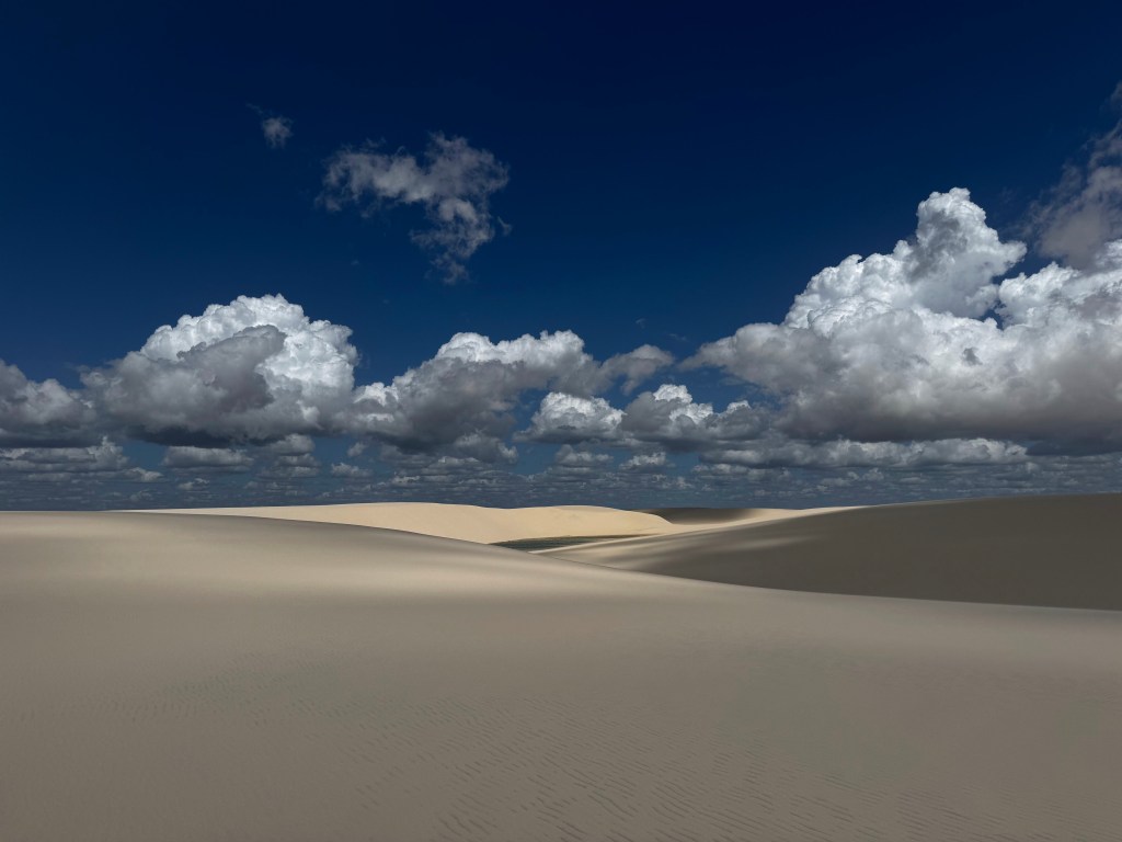 🌾 Como tudo&nbsp;começou…